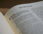 Grupo de direitos dos animais quer recriar o livro de Gênesis com termos veganos