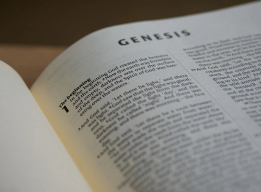 Grupo de direitos dos animais quer recriar o livro de Gênesis com termos veganos
